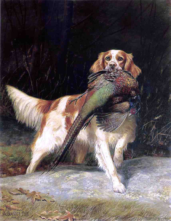  Alexander Pope Springer Spaniel with Pheasant - Canvas Art Print