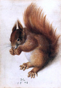  Hans Hoffmann A Squirrel - Canvas Art Print