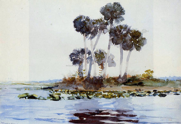  Winslow Homer St. John's River, Florida - Canvas Art Print