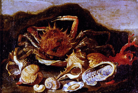  Paolo Porpora Still Life Of A Crab, Shells And Coral In A Landscape - Canvas Art Print