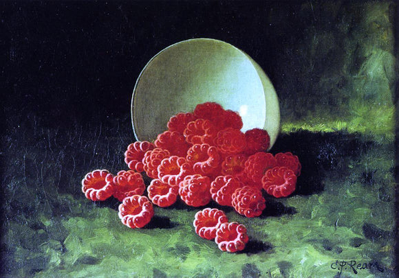  Carducius Plantagenet Ream Still Life: Overturned Cup on Raspberries - Canvas Art Print