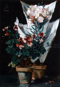  Alfred Emile Leopold Stevens Still Life wit Potted Geraniums - Canvas Art Print