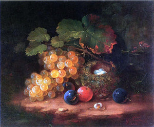  George Forster Still Life with Fruit, Bird's Nest and Broken Egg - Canvas Art Print