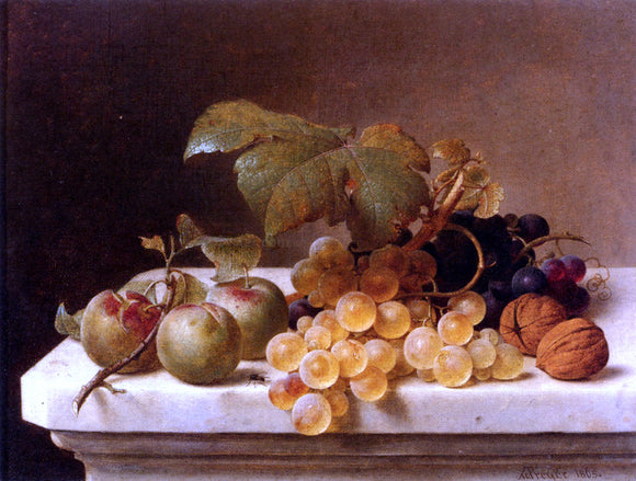  Johann Wilhelm Preyer Still Life With Lady Apples, Grapes, And Walnuts - Canvas Art Print