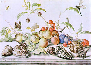  Balthasar Van der Ast Still-Life - Canvas Art Print