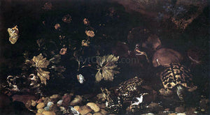  Paolo Porpora Still-Life with a Snake, Frogs, Tortoise and a Lizard - Canvas Art Print