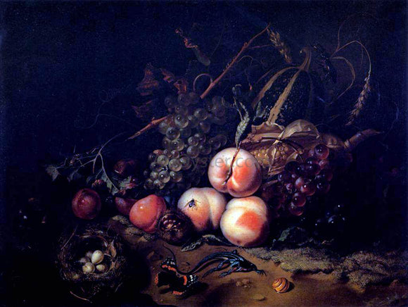  Rachel Ruysch Still-Life with Fruit and Insects - Canvas Art Print