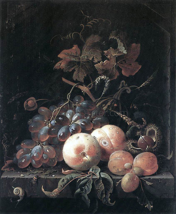  Abraham Mignon Still-Life with Fruits - Canvas Art Print