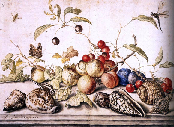  Balthasar Van der Ast Still-Life with Plums, Cherries, and Shells - Canvas Art Print