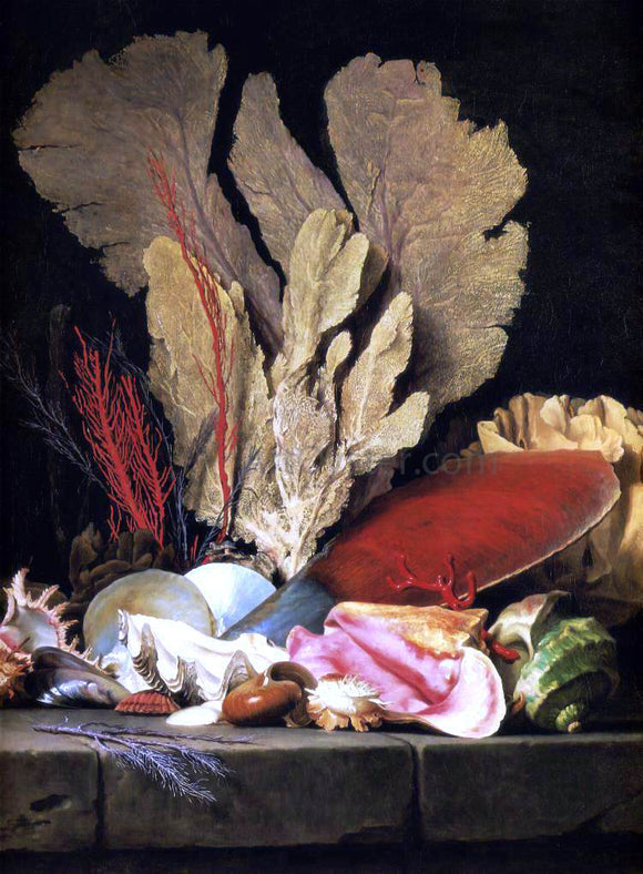  Anne Vallayer-Coster Still-Life with Tuft of Marine Plants, Shells and Corals - Canvas Art Print