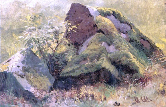  Ivan Ivanovich Shishkin Stones (etude) - Canvas Art Print