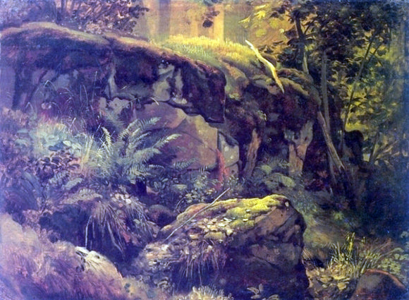  Ivan Ivanovich Shishkin Stones in the forest, Valaam (etude) - Canvas Art Print