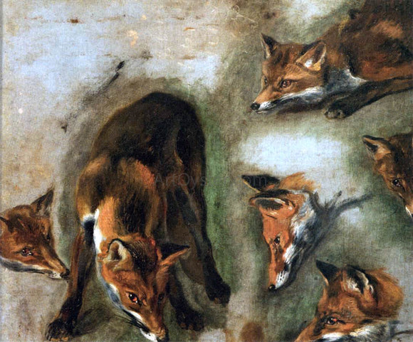  Pieter Boel Studies of a Fox - Canvas Art Print