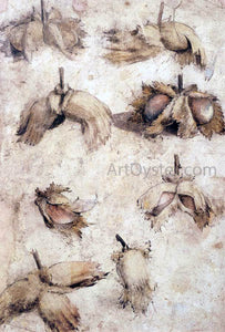  Giovanni Da Udine Studies of Nuts - Canvas Art Print