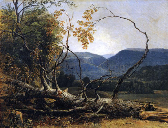  Asher Brown Durand Study from Nature, Stratton Notch, Vermont - Canvas Art Print