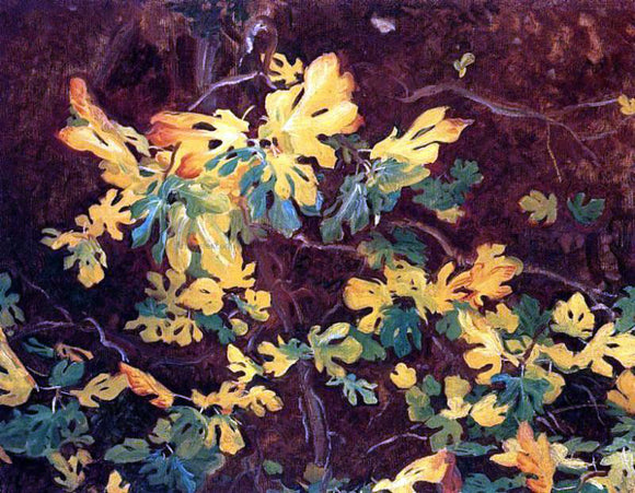  John Singer Sargent Study of a Fig Tree - Canvas Art Print