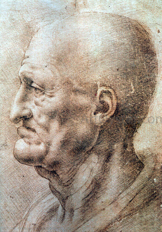  Leonardo Da Vinci Study of an Old Man's Profile - Canvas Art Print