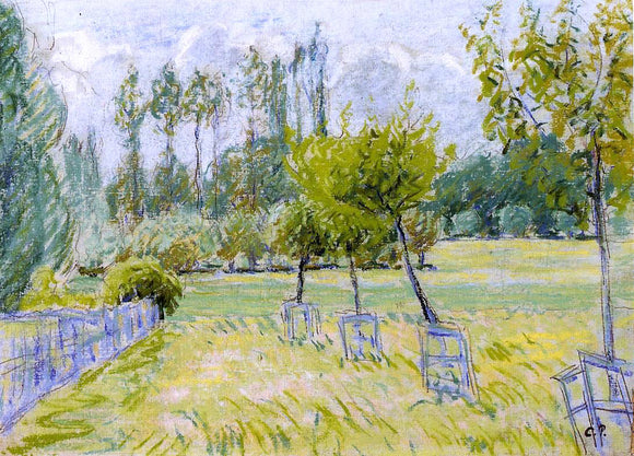  Camille Pissarro Study of Apple Trees at Eragny - Canvas Art Print