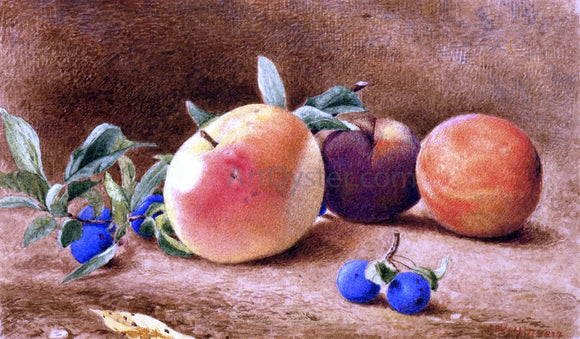  John William Hill Study of Fruit - Canvas Art Print