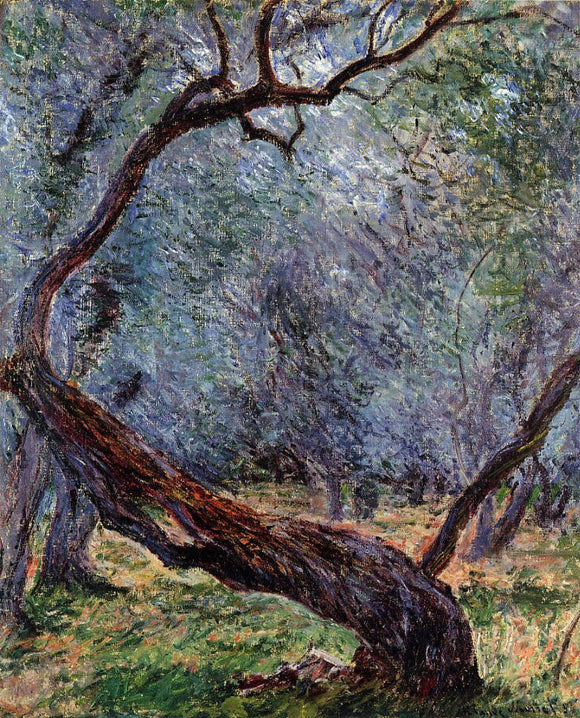  Claude Oscar Monet Study of Olive Trees - Canvas Art Print