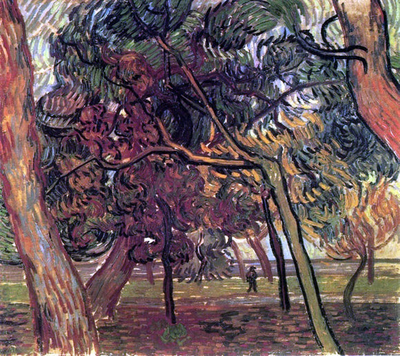  Vincent Van Gogh Study of Pine Trees - Canvas Art Print