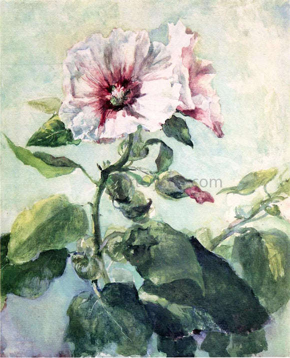  John La Farge Study of Pink Hollyhock in Sunlight, From Nature - Canvas Art Print