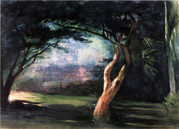  John La Farge Study of Trees in Moonlight, at Honolulu - Canvas Art Print