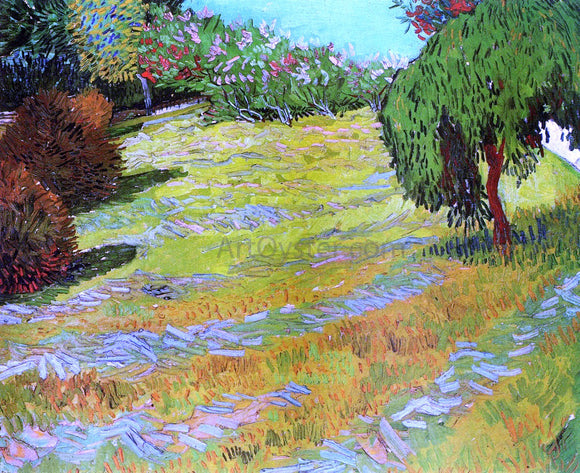  Vincent Van Gogh Sunny Lawn in a Public Park - Canvas Art Print