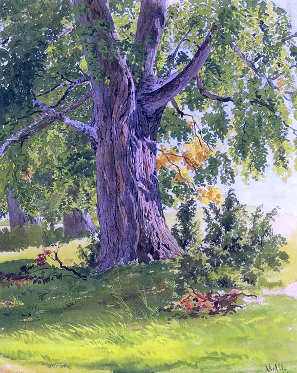  Ivan Ivanovich Shishkin Sunny Oak - Canvas Art Print