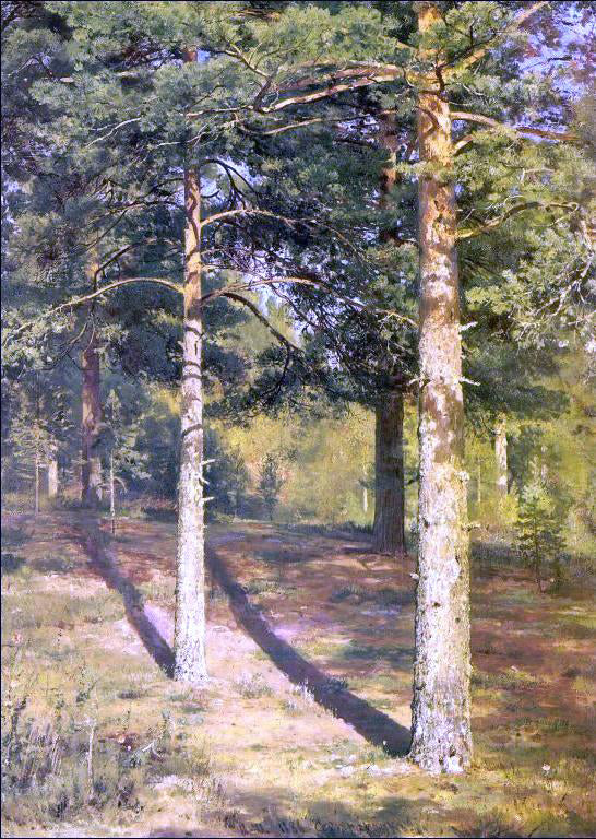 Ivan Ivanovich Shishkin Sunny Pine-Tree (etude) - Canvas Art Print