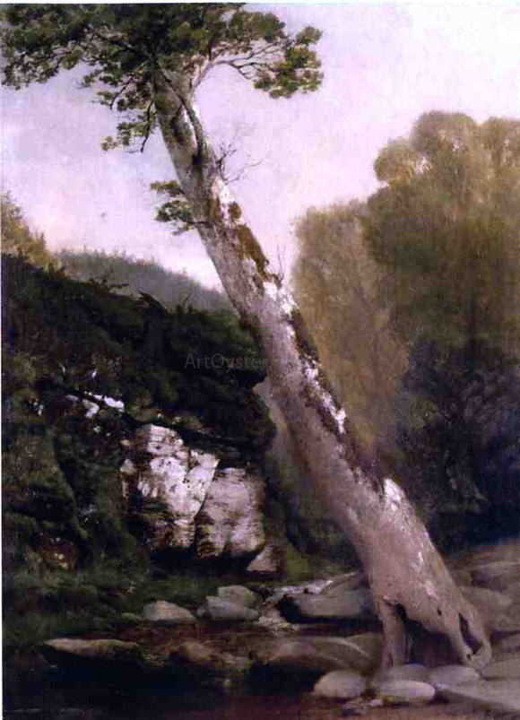  John Williamson Sycamore, Catskill Clove, Below Haines Falls - Canvas Art Print