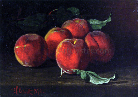  Edward C Leavitt Table Top Still Life of Peaches - Canvas Art Print