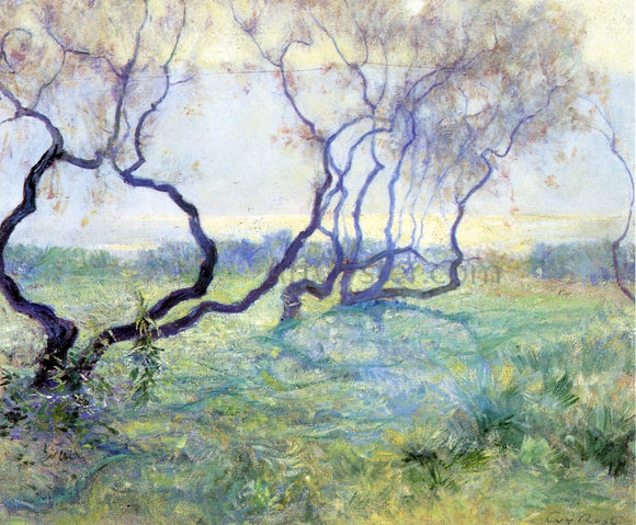  Guy Orlando Rose Tamarisk Trees in Early Sunlight - Canvas Art Print