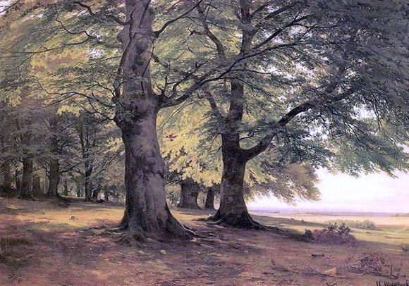  Ivan Ivanovich Shishkin Tevtoburgsky forest - Canvas Art Print