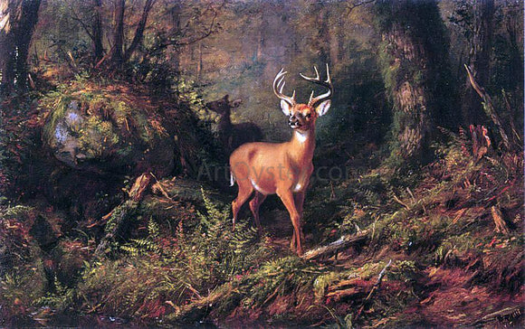  Arthur Fitzwilliam Tait Adirondacks - Canvas Art Print