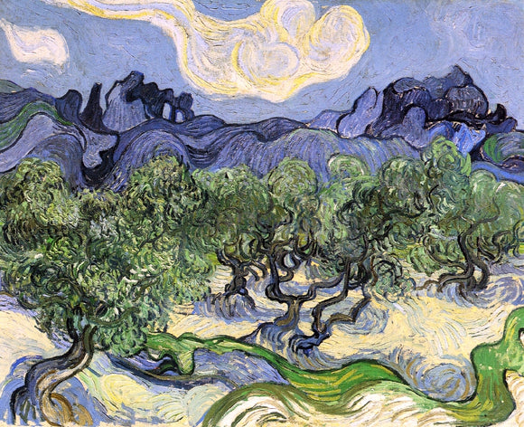  Vincent Van Gogh The Alpilles with Olive Trees in the Foreground - Canvas Art Print