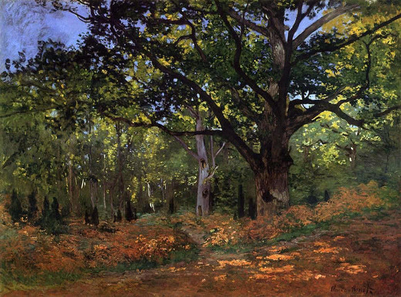  Claude Oscar Monet The Bodmer Oak, Fontainebleau - Canvas Art Print