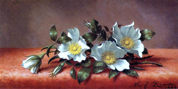  Martin Johnson Heade The Cherokee Rose - Canvas Art Print