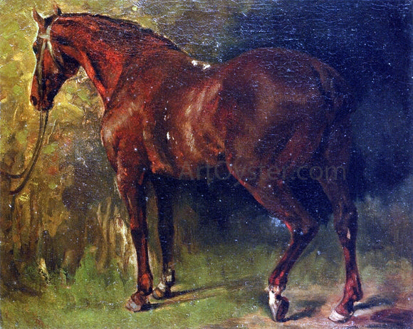  Gustave Courbet The English Horse of M. Duval - Canvas Art Print