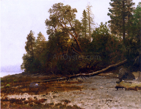  Albert Bierstadt The Fallen Tree - Canvas Art Print