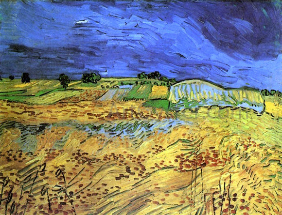  Vincent Van Gogh The Fields - Canvas Art Print