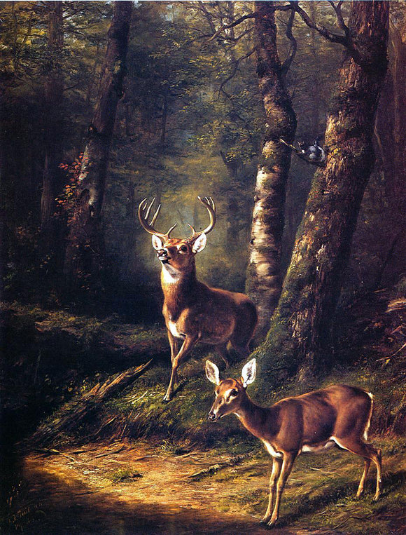  Arthur Fitzwilliam Tait The Forest: Adirondacks - Canvas Art Print