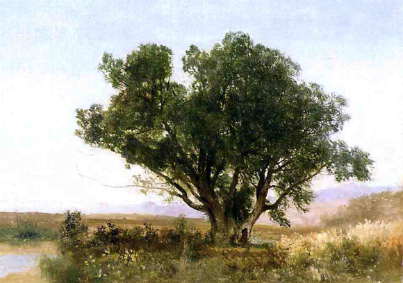  John Frederick Kensett The Front Range, Colorado - Canvas Art Print
