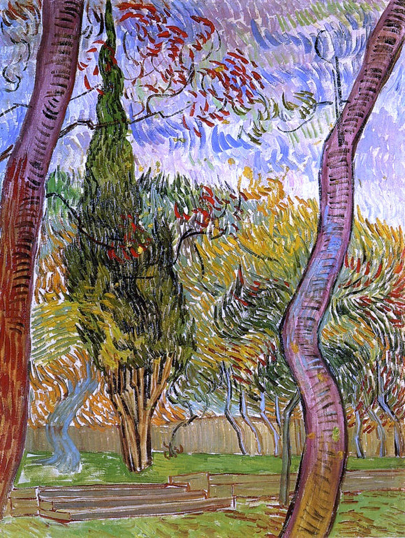  Vincent Van Gogh The Garden of Saint-Paul Hospital - Canvas Art Print