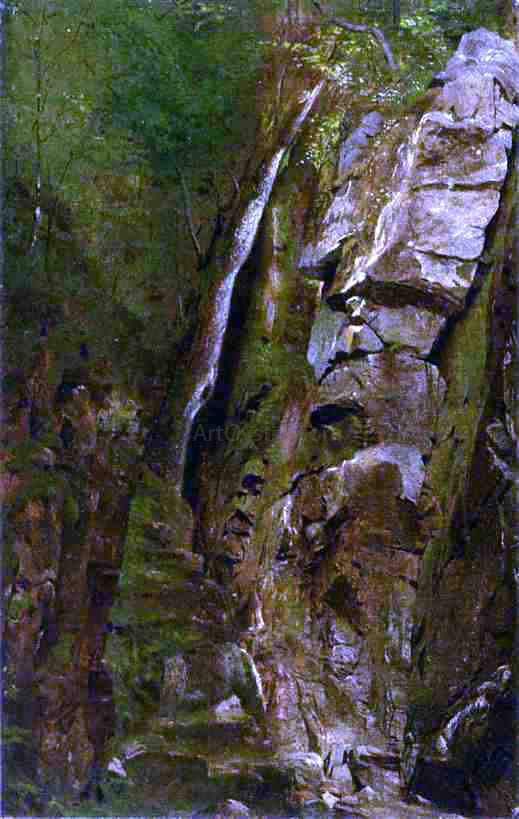  Alexander Helwig Wyant The Gorge - Canvas Art Print
