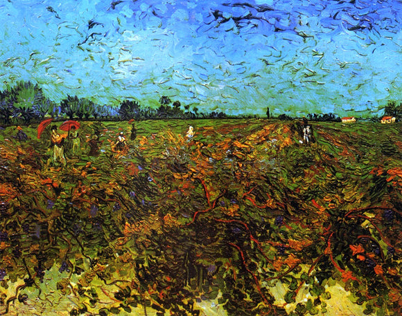  Vincent Van Gogh The Green Vineyard - Canvas Art Print