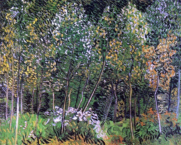  Vincent Van Gogh The Grove - Canvas Art Print