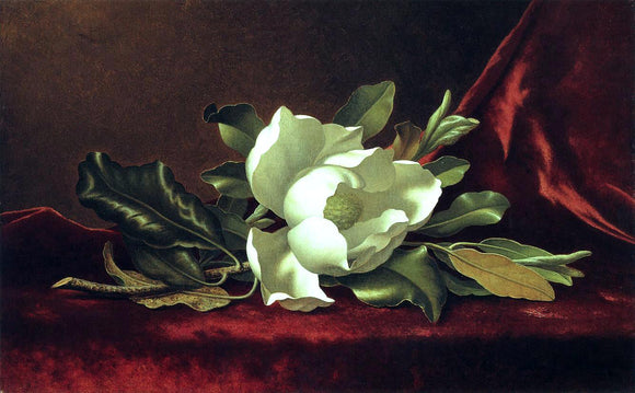  Martin Johnson Heade The Magnolia Blossom - Canvas Art Print