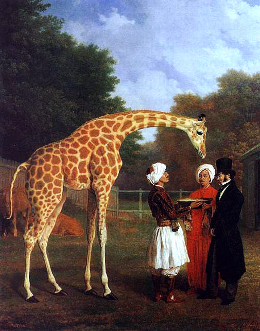  Jacques-Laurent Agasse The Nubian Giraffe - Canvas Art Print