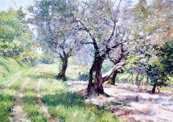  William Merritt Chase The Olive Grove - Canvas Art Print